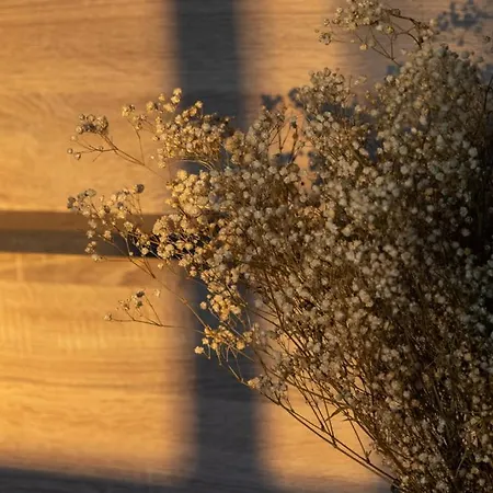 Lq Family - 11-12 זנקט אנדריאסברג